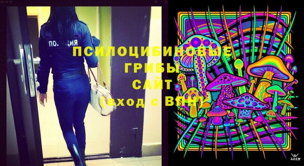 мяу мяу кристалл Корсаков
