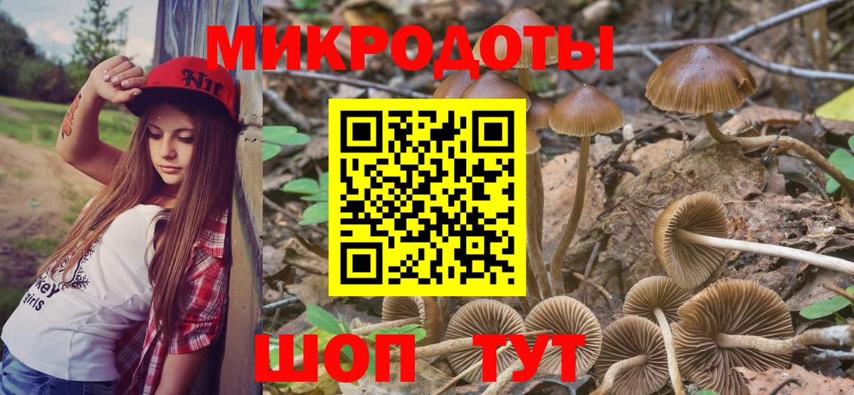 Псилоцибиновые грибы Psilocybe  Вход с VPN  Тихвин  Галлюциногенные грибы MAGIC MUSHROOMS 